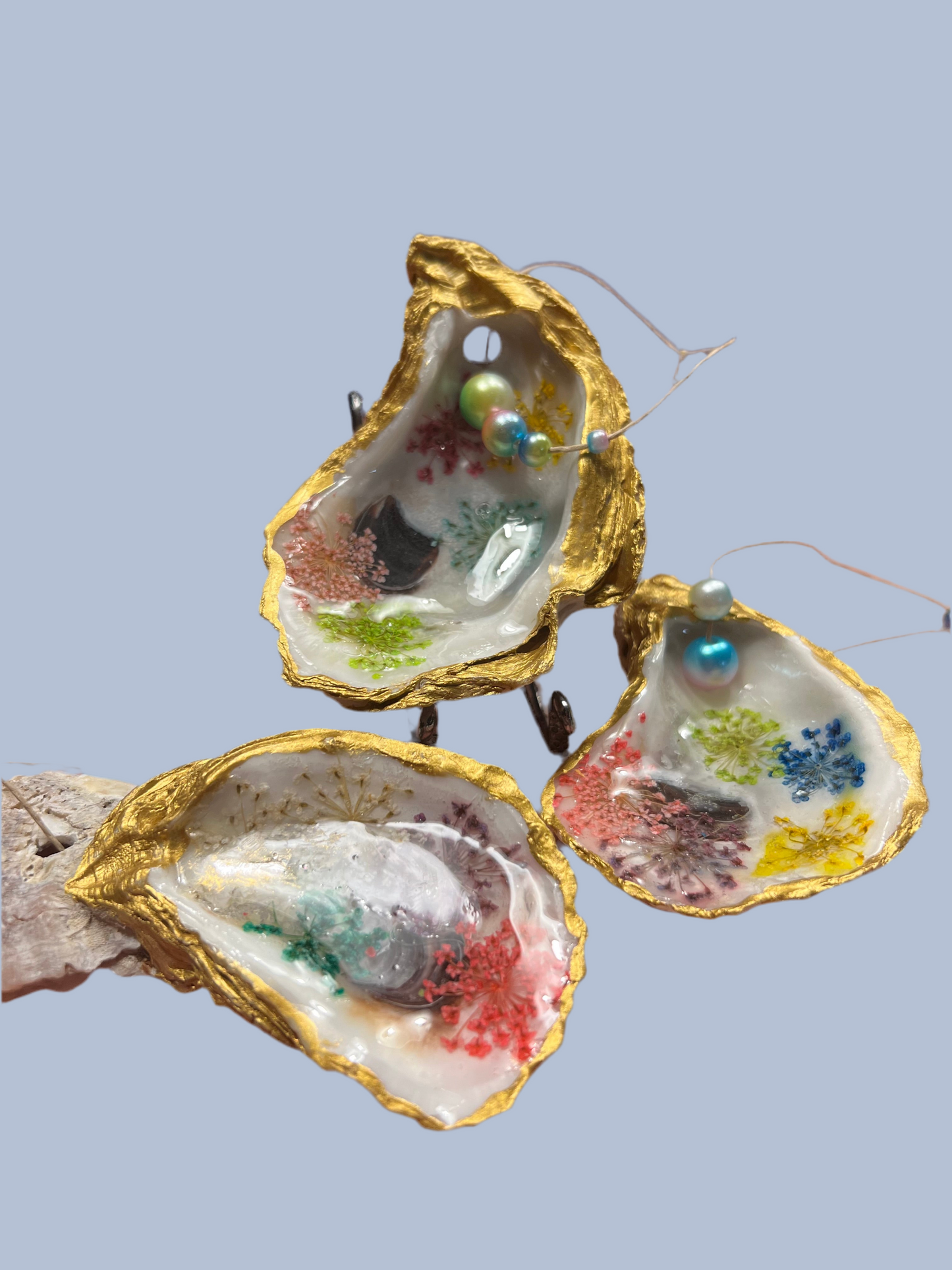 Pretty pressed flowers with natural background ￼