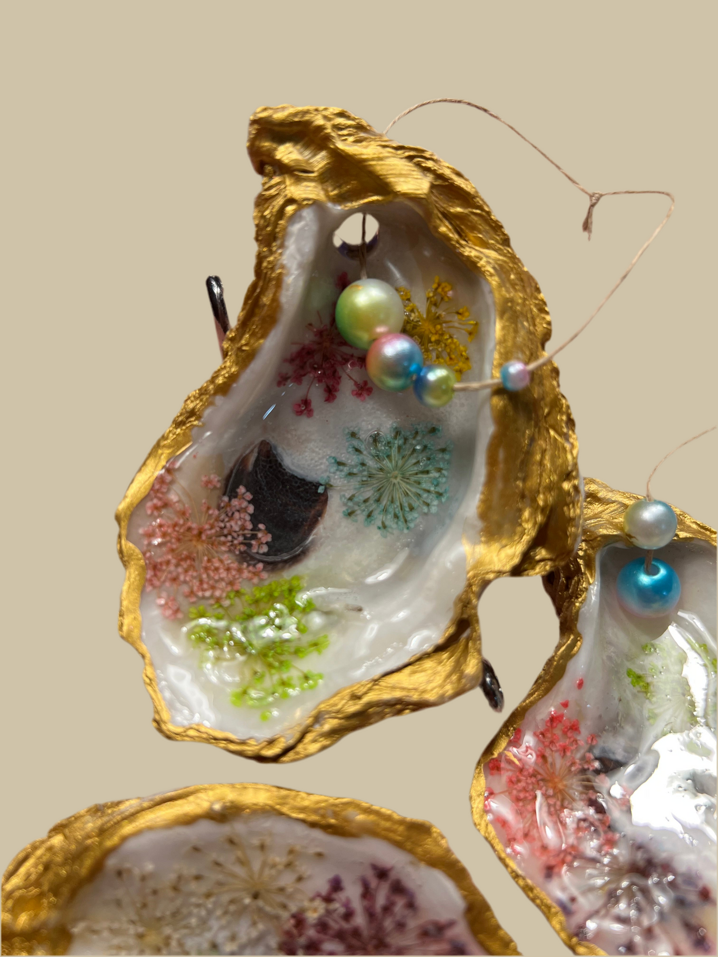 Pretty pressed flowers with natural background ￼